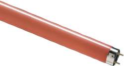1500mm-coloured-fluorescent-tube-t8-58-watt-red-250x200