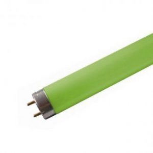 green-fluorescent-tube