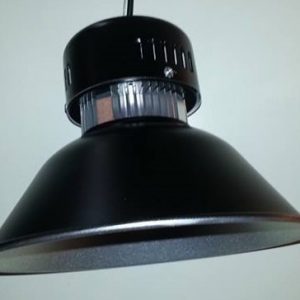 16468771_10212537453815430_531741739_n